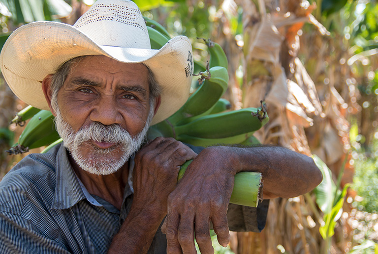 ein Bananenbauer aus Südamerika