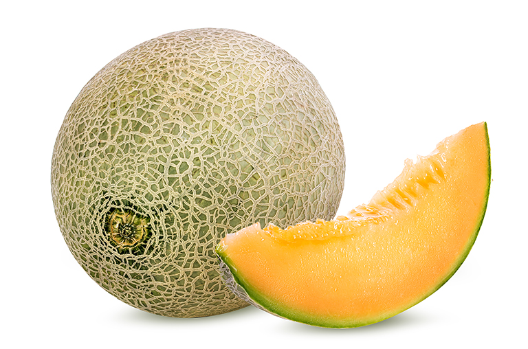 Abbildung einer Cantaloupe Melone
