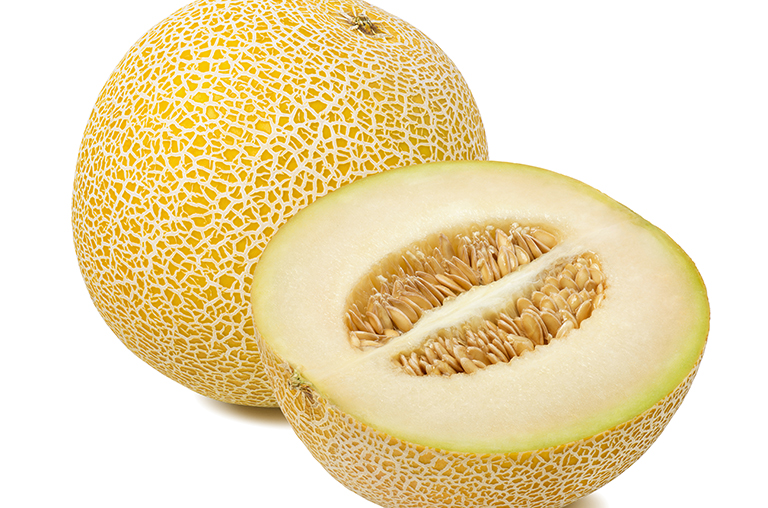Abbildung einer Galia Melone